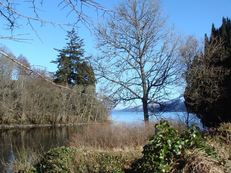 Lake view with bare trees