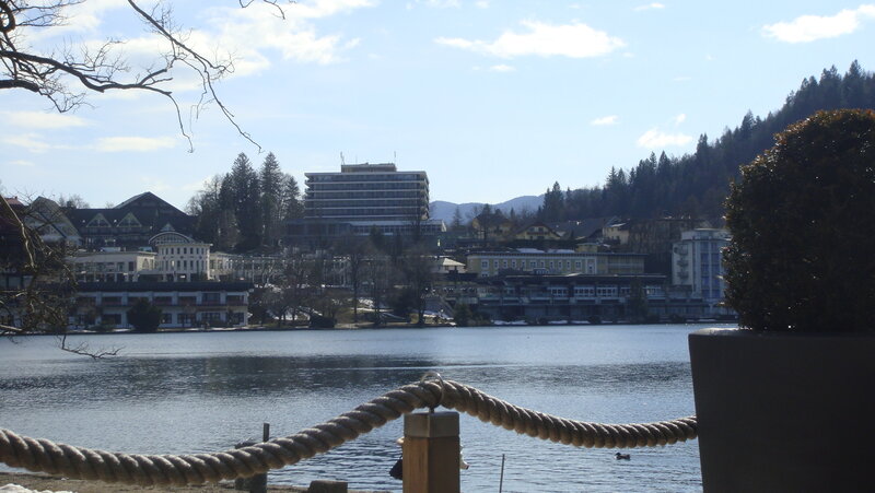 Lake view with buildings and forest