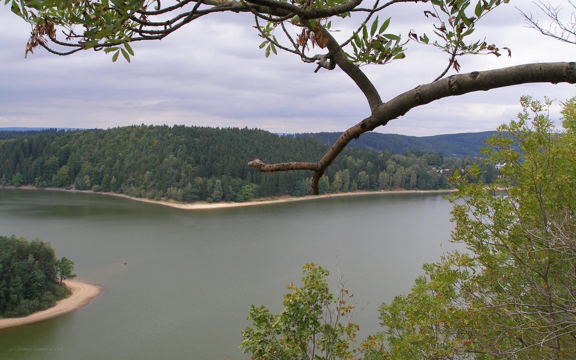 Lake view with forested hills