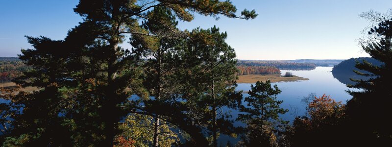 Lake view with pine trees