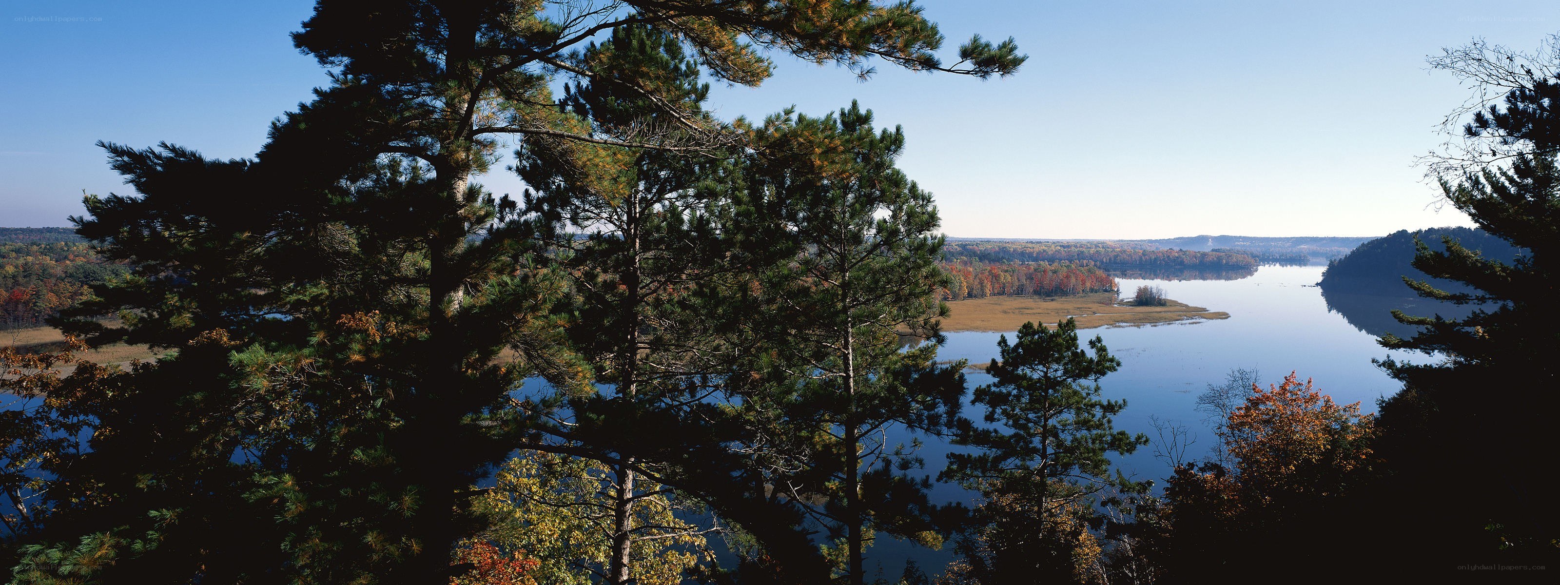 Lake view with pine trees