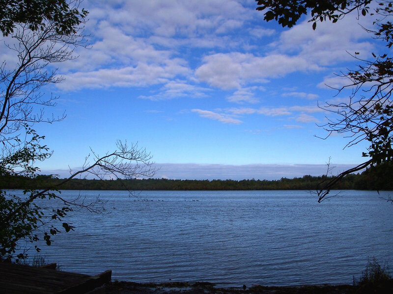 Lake view with trees and clouds