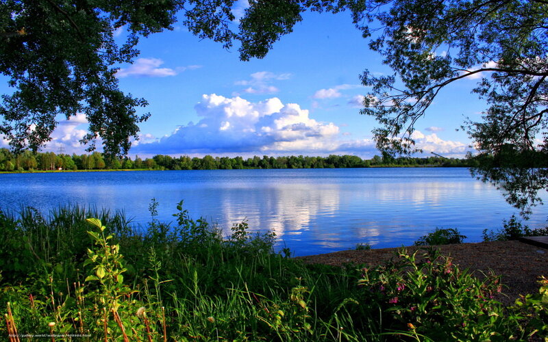 Lake view with trees and clouds