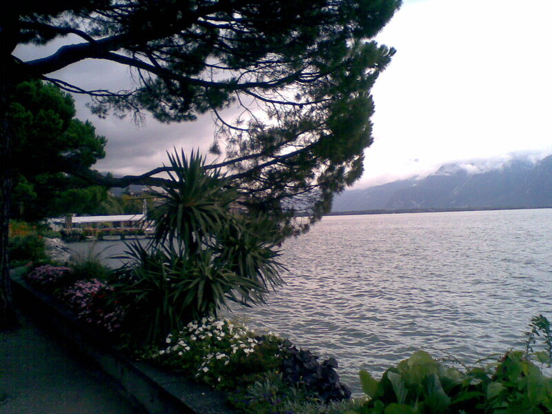 Lake view with trees and flowers