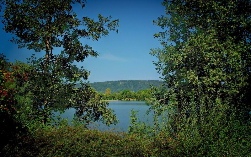 Lake Viewed Through Trees — Green, Serene, Afternoon, Photograph, Hill, Sky