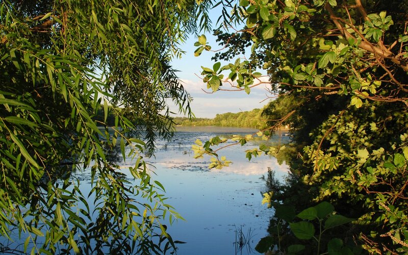 Lake Viewed Through Trees — Green, Serene, Afternoon, Photograph, Water