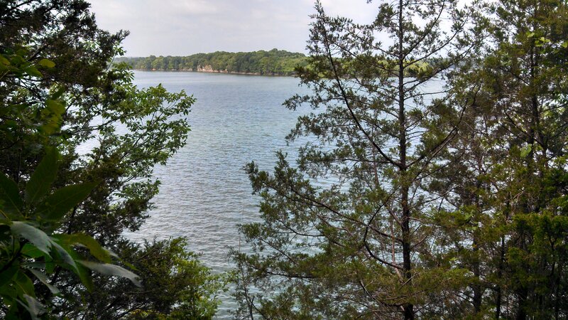 Lake Viewed Through Trees — Green, Serene, Afternoon