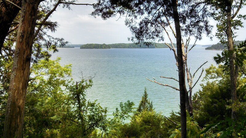 Lake Viewed Through Trees — Green, Serene