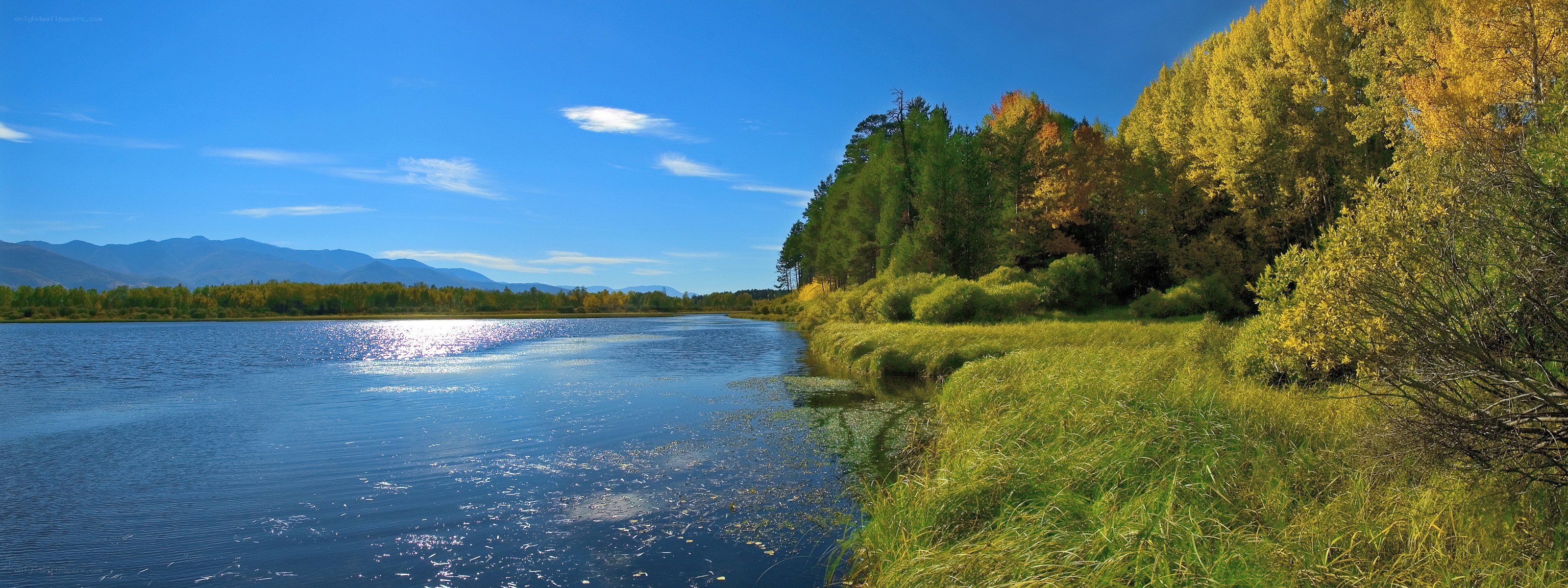 Lake with autumn trees