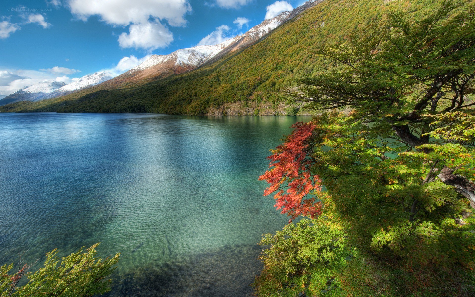 Lake with autumn trees and mountains