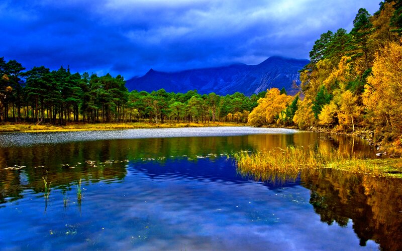 Lake with Autumn Trees — Blue, Dramatic