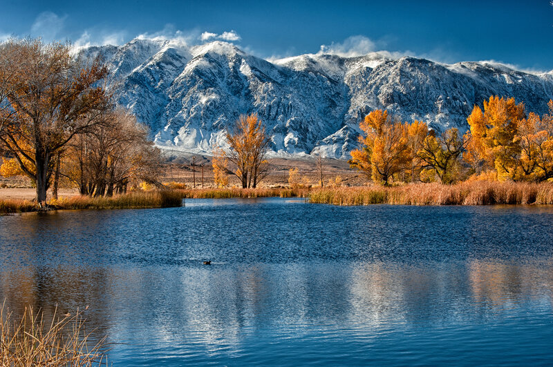 Lake with Autumn Trees — Blue, Serene, Photograph, Mountains, Duck