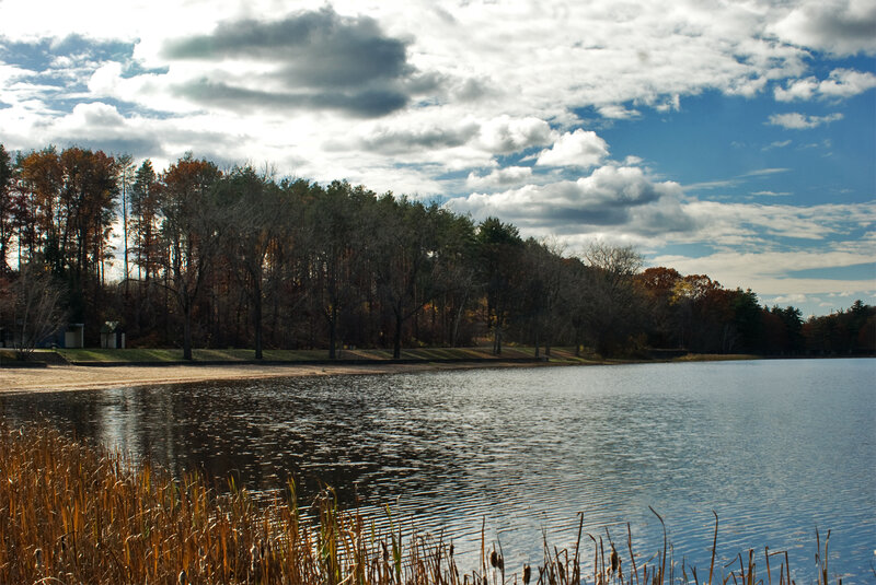 Lake with Autumn Trees — Blue, Serene, Photograph, Sky, Reeds