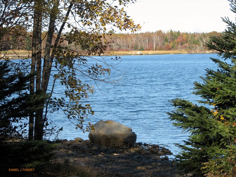 Lake with Autumn Trees — Blue, Serene