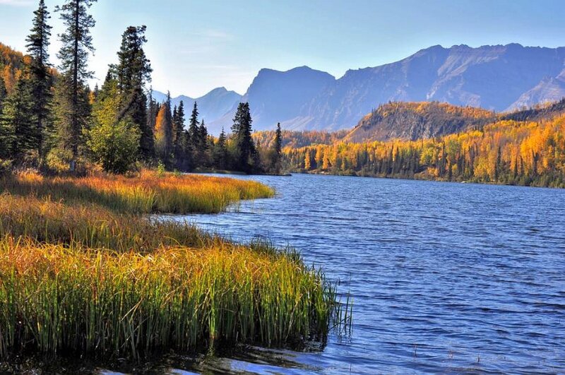 Lake with Autumn Trees — Blue