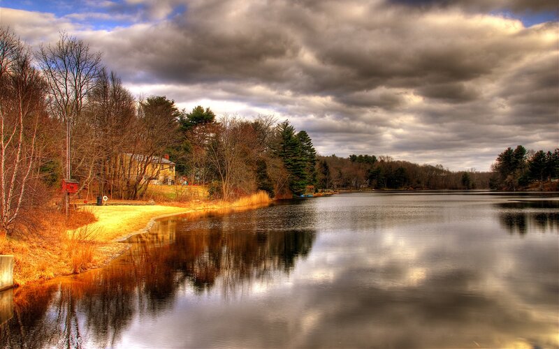 Lake with Autumn Trees — Brown, Dramatic