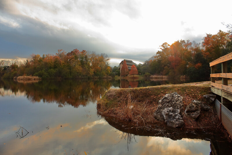 Lake with Autumn Trees — Brown
