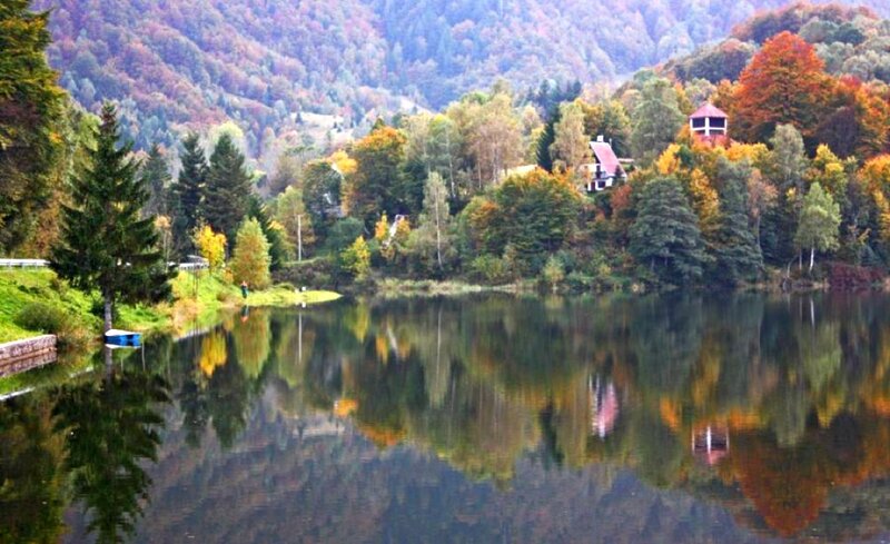 Lake with Autumn Trees — Green, Serene
