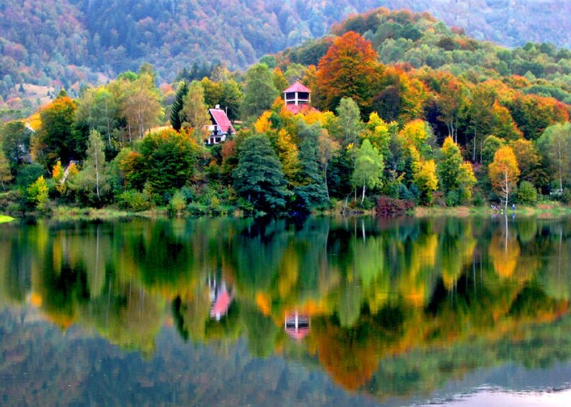 Lake with Autumn Trees — Green