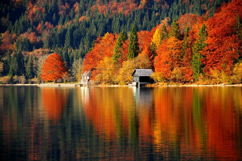 Lake with Autumn Trees — Red