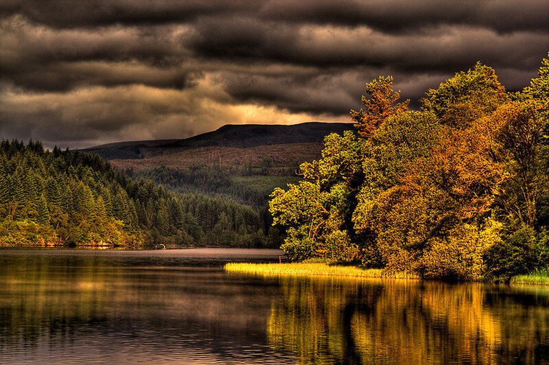 Lake with Autumn Trees — Yellow, Dramatic