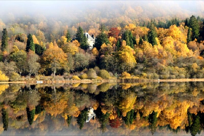Lake with Autumn Trees — Yellow
