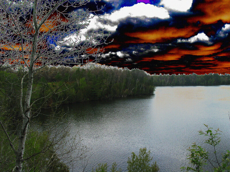 Lake with Bare Tree