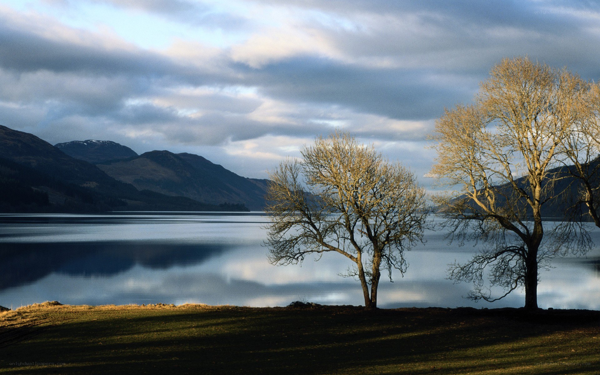 Lake with bare trees and mountains