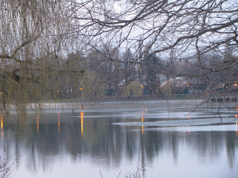 Lake with bare trees at dusk