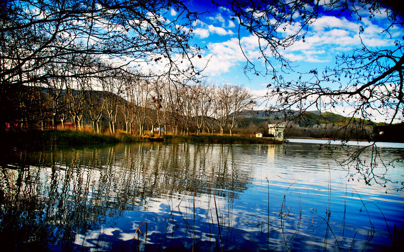 Lake with Bare Trees — Blue