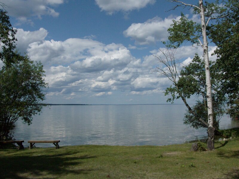 Lake with Birch Tree