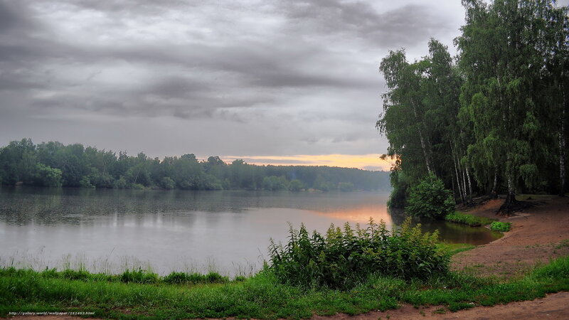 Lake with Birch Trees — Green