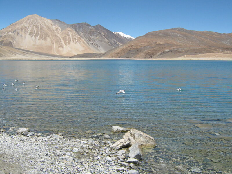 Lake with birds and mountains