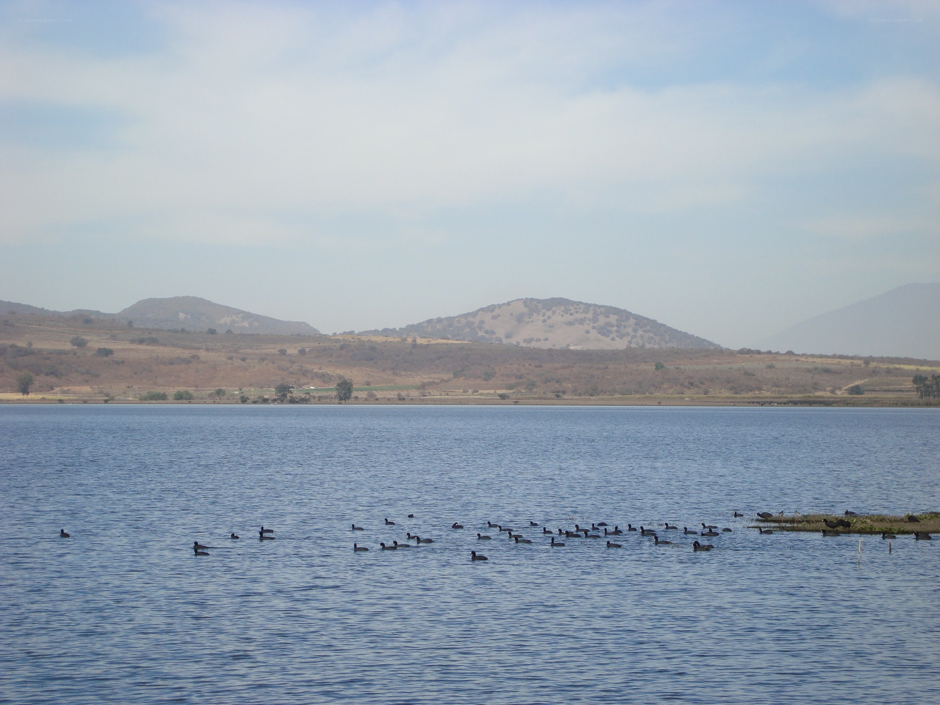 Lake with birds and mountains