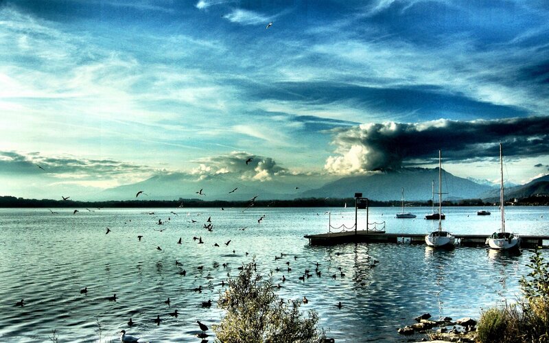 Lake with boats and birds