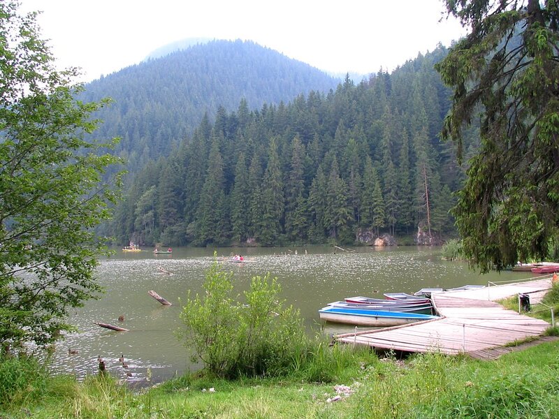 Lake with Boats and Forest — Green