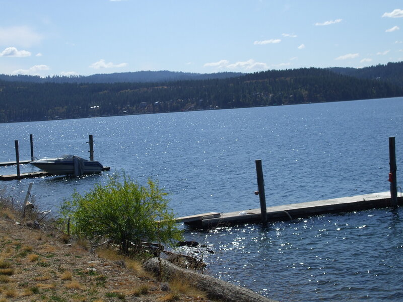 Lake with boats and forest