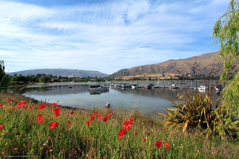 Lake with boats and poppies