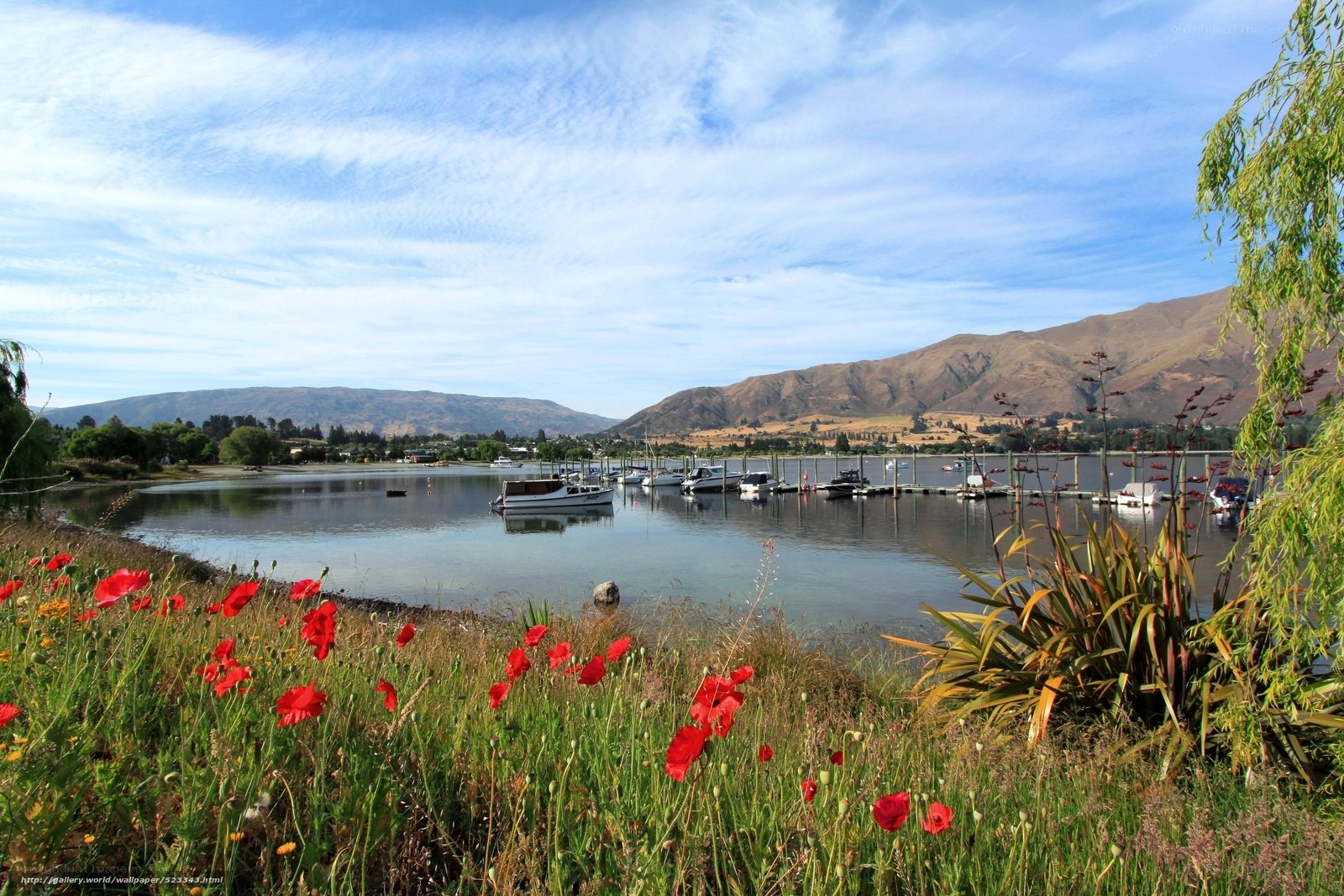 Lake with boats and poppies