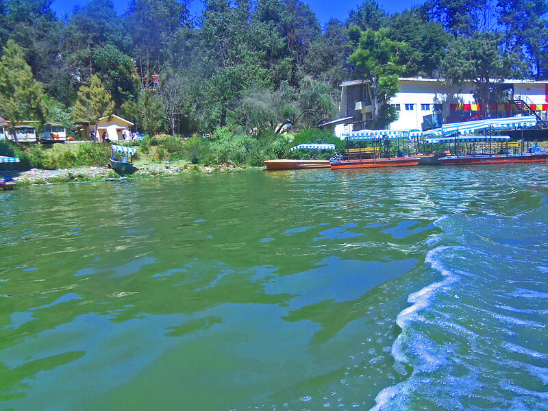 Lake with Boats — Green