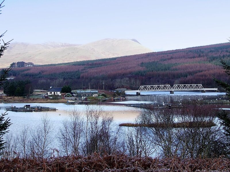 Lake with Bridge and Buildings
