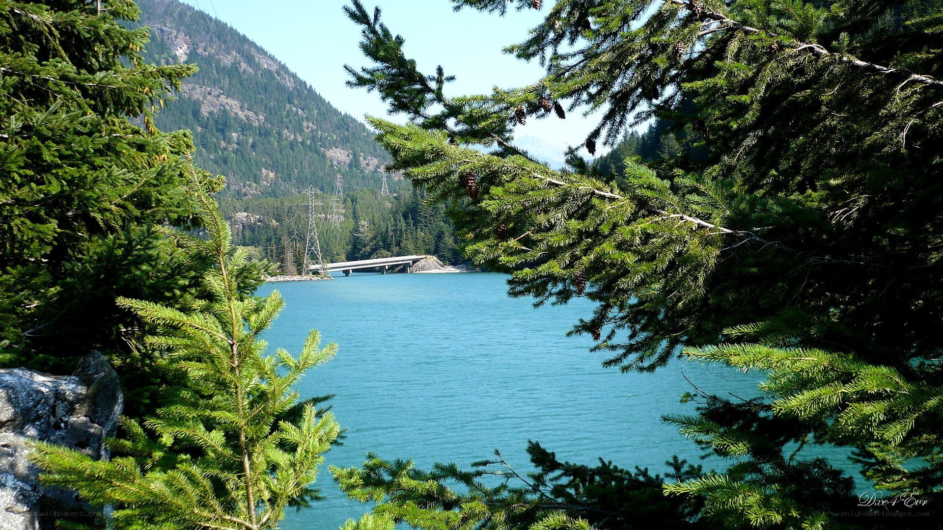 Lake with bridge and forest