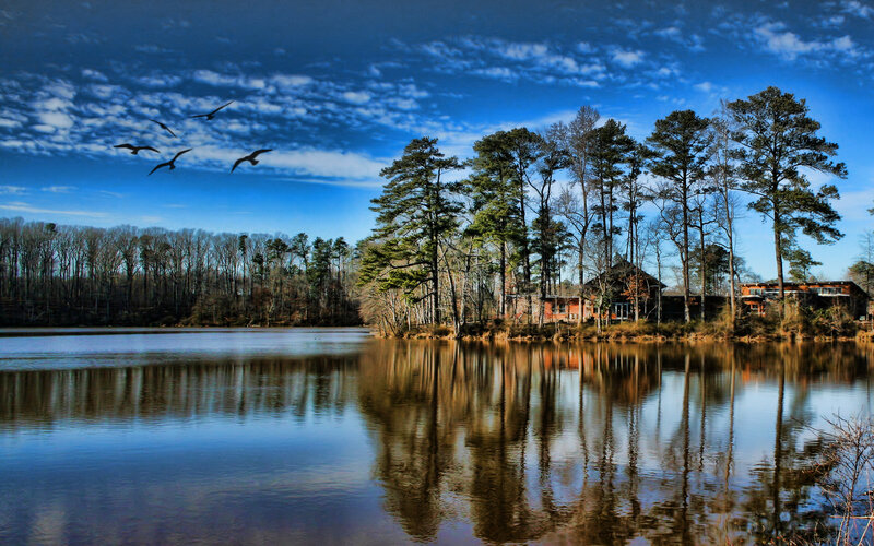Lake with Cabin and Trees