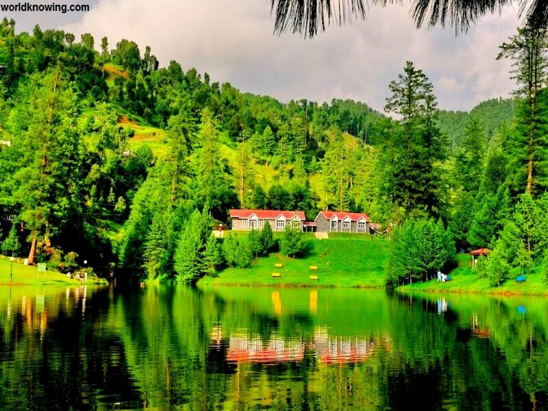 Lake with Cabins — Green, Serene