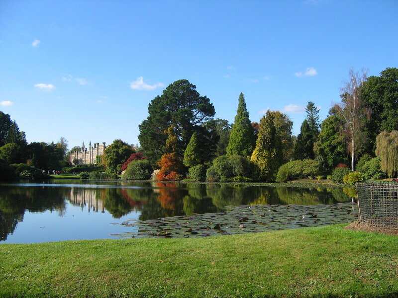 Lake with Castle Reflection — Green