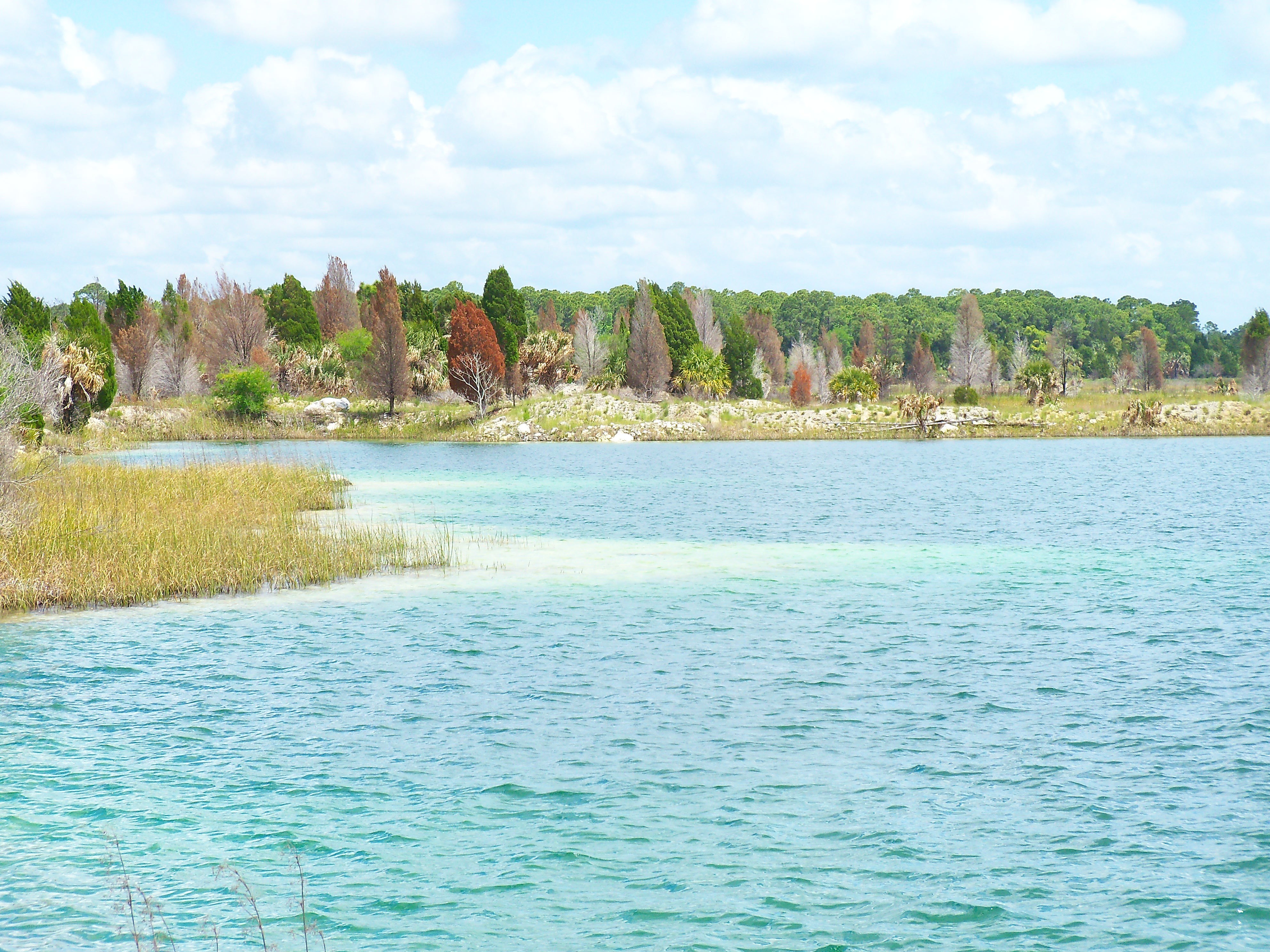 Lake with clear water and trees