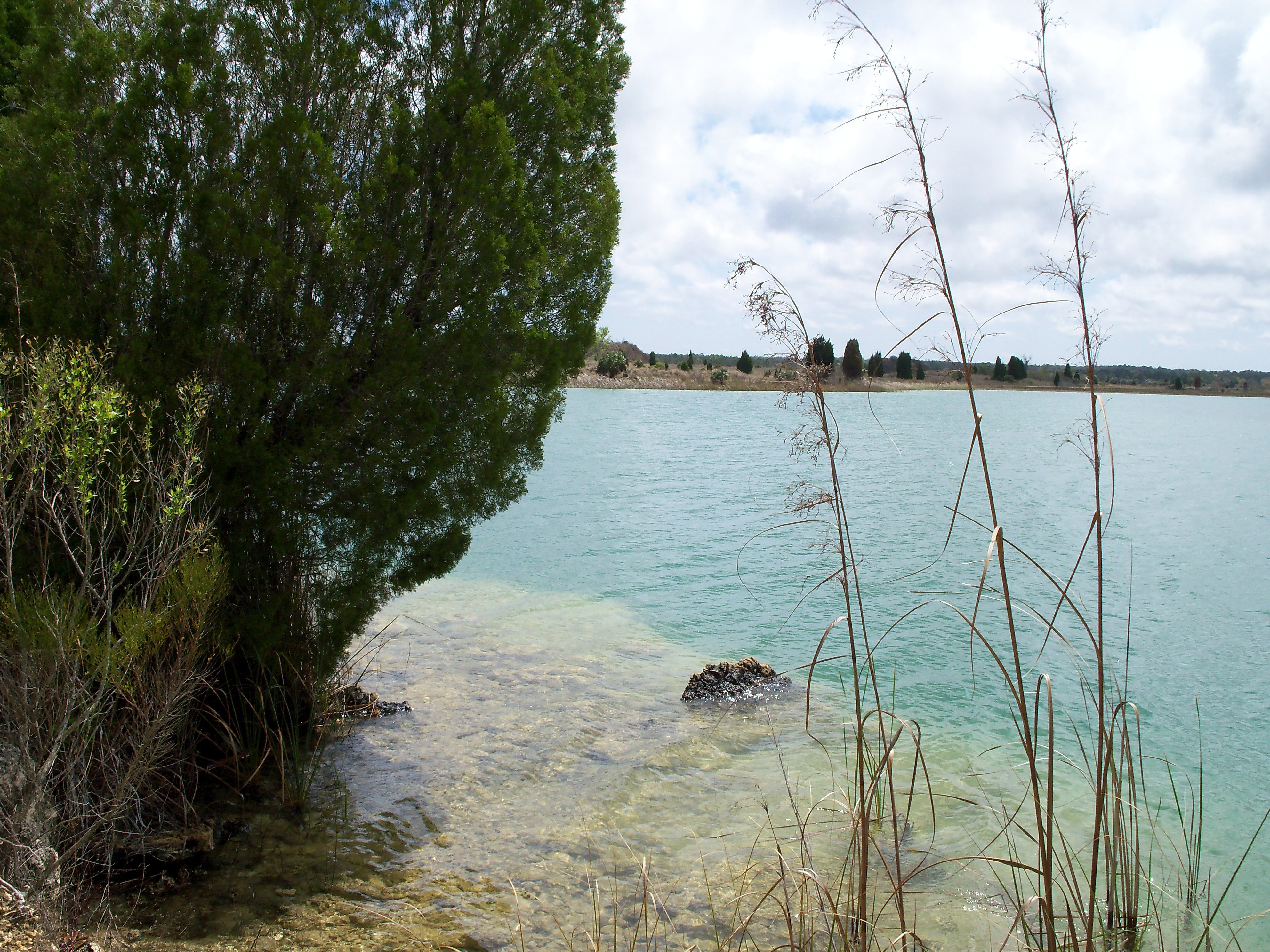 Lake with clear water and trees