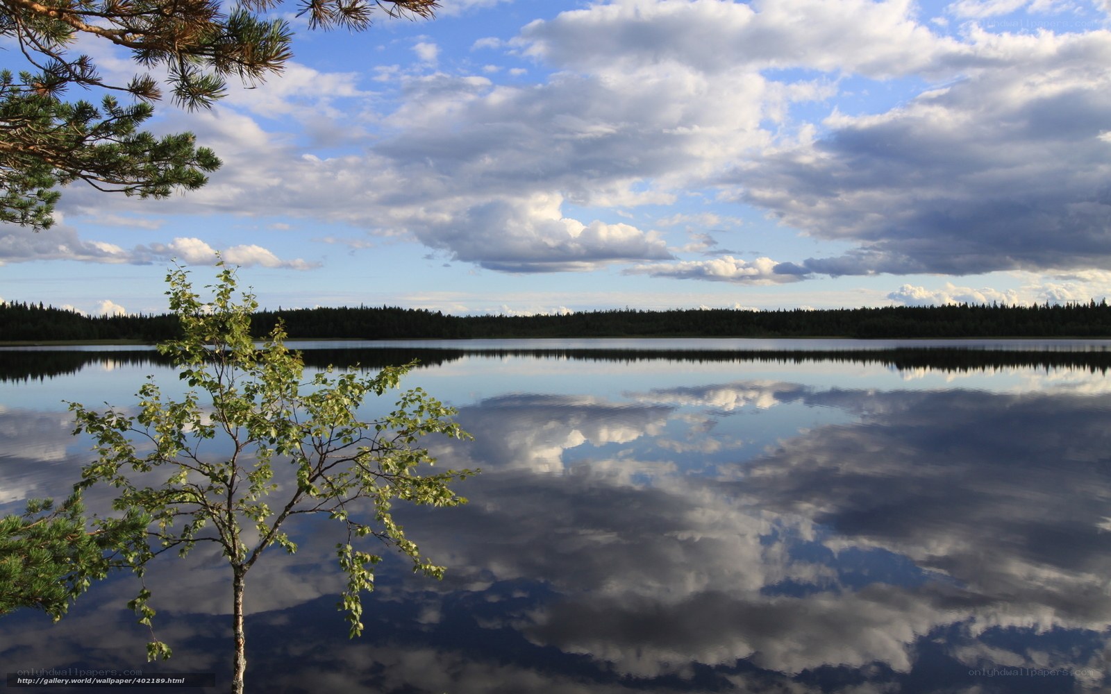 Lake with Cloud Reflection