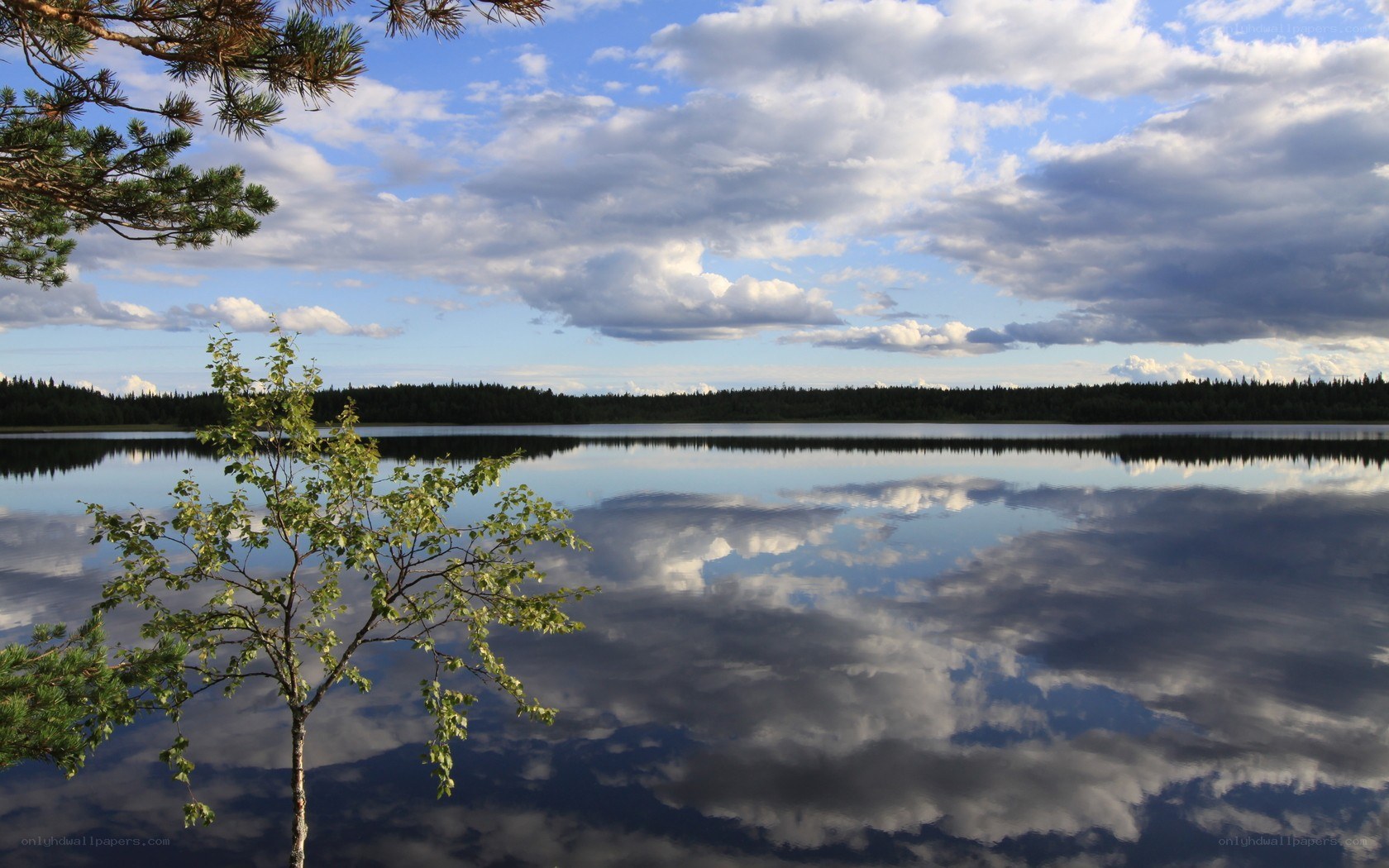 Lake with cloud reflection