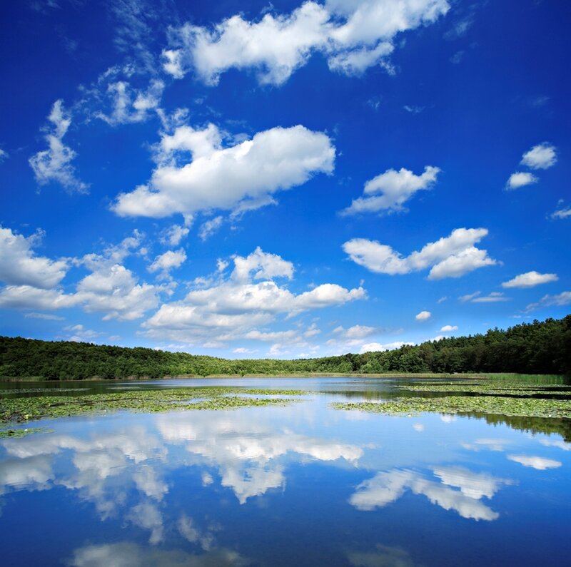 Lake with clouds and forest
